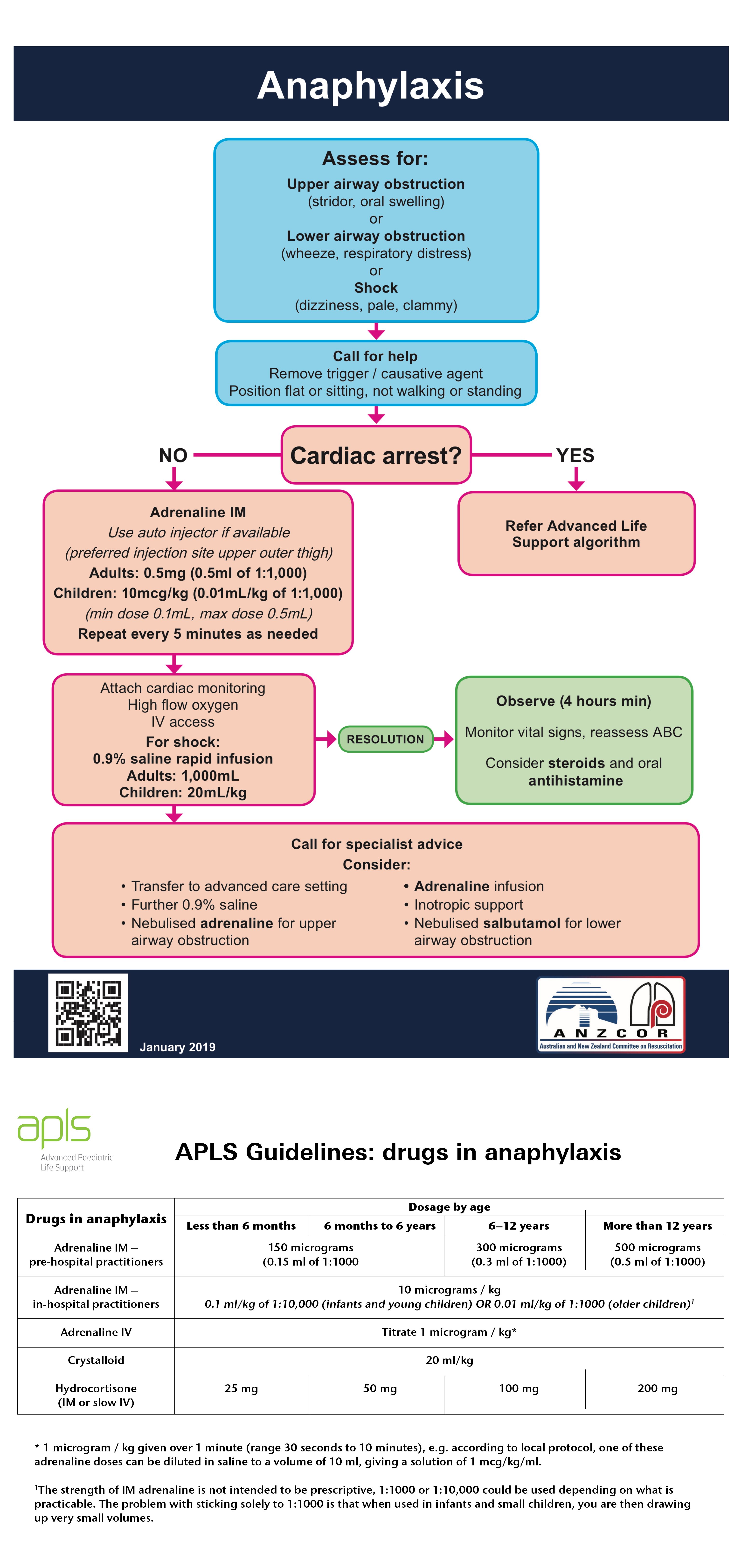 Algorithms | Anaphylaxis